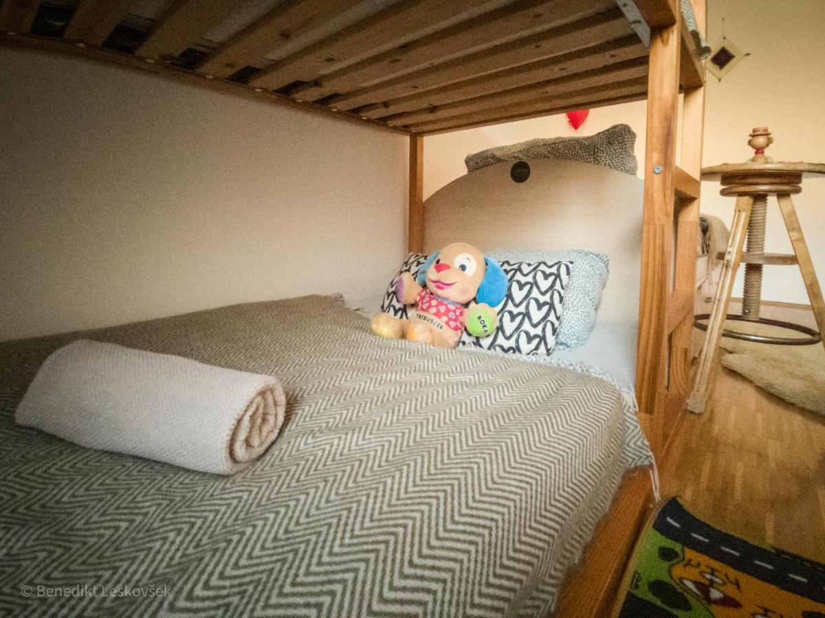 Panorama Glamping Visole Hotell Slovenska Bistrica Exteriör bild