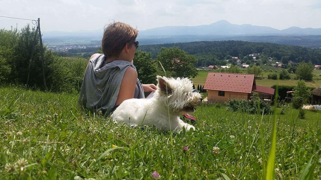 Panorama Glamping Visole Hotell Slovenska Bistrica Exteriör bild