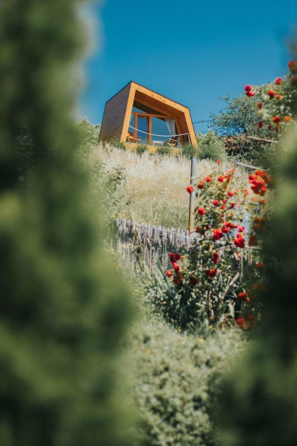 Panorama Glamping Visole Hotell Slovenska Bistrica Exteriör bild